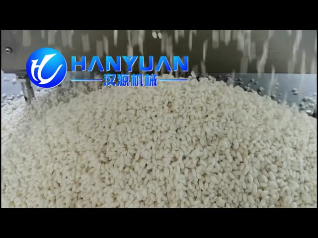 Rice Puffed Equipment video