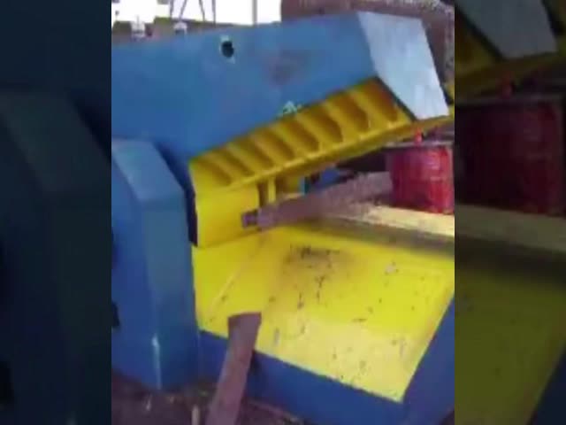 Hydraulic Manual Alligator Metal Shear 250Ton Metal Processing Steel Cutting Shears