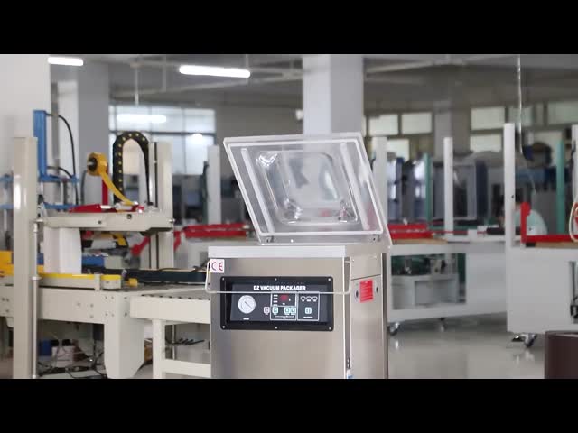 DUOQI DZ-400 Single Chamber Vacuum Packaging Machine With Electrical Control