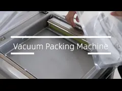 DUOQI DZ-400 Single Chamber Vacuum Packaging Machine With Electrical Control