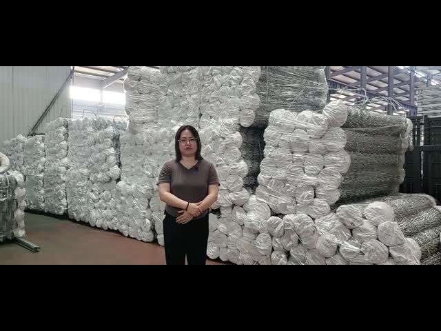 11 BWG 12 BWG Metal Chain Link Fencing OHSAS Wildlife Safe Fencing