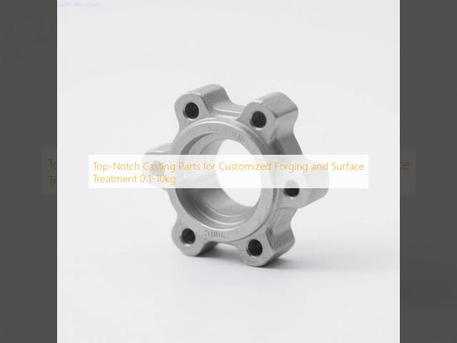 Top-Notch Casting Parts for Customized Forging and Surface Treatment 0.1-10kg