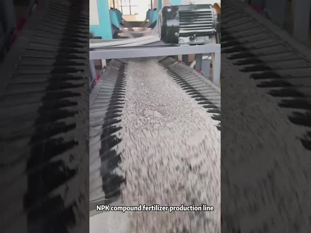 1-10T/H Double Roller Granulator NPK Compound Fertilizer Production Line for Dry Chemical Powder