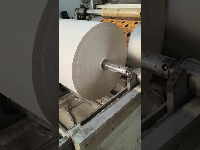 Grocery Reusable Woven Bags with Customizable Printing and Customization