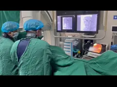 China Dual Channel Disposable Flexible Endoscope Biliary Procedures Disposable Cholangioscope Endoscope supplier