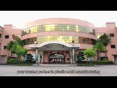 China Precision Plastic Injection Mold 718 Steel 60T-1600T Capacity supplier