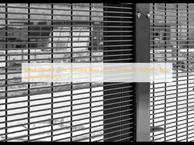 Black Square Hole Welded Wire Mesh Panels for Schools with Easy Installation
