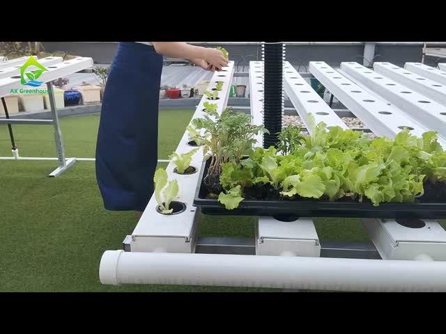 Food-Grade PVC NFT Hydroponic Gully System with UV Inhibitors and Customizable Dimensions for Commercial Greenhouses