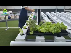 China Greenhouse CO2 Sensor Monitoring System Intelligent Carbon Dioxide Sensor supplier