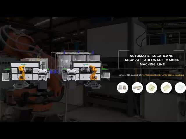 Pulp Molding Tableware Machine | Automatic Thermoforming Disposable Plate Maker