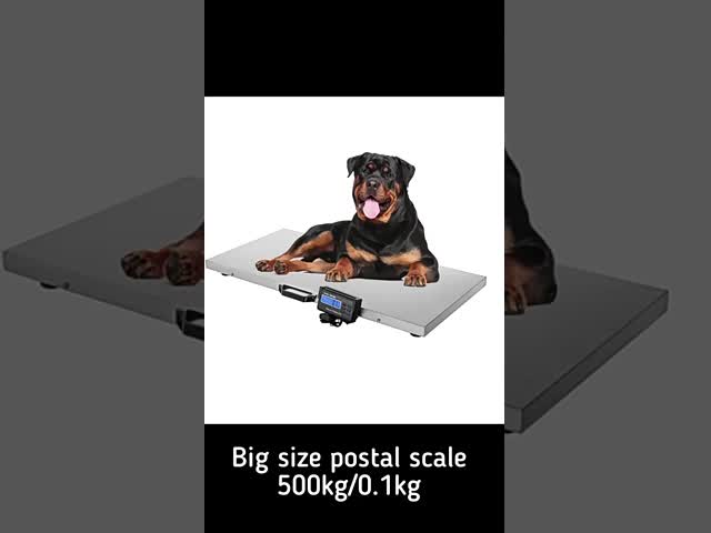 LED Display Design Digital Floor Scale for Puppies Portable Electronic Pet Bowl 1g Accuracy OEM ODM Supported 700x308x90.5mm