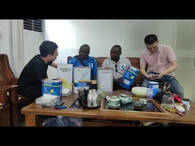 Multiscene Car Pearl Paint Chemical Resistant Mildewproof 0.95KG