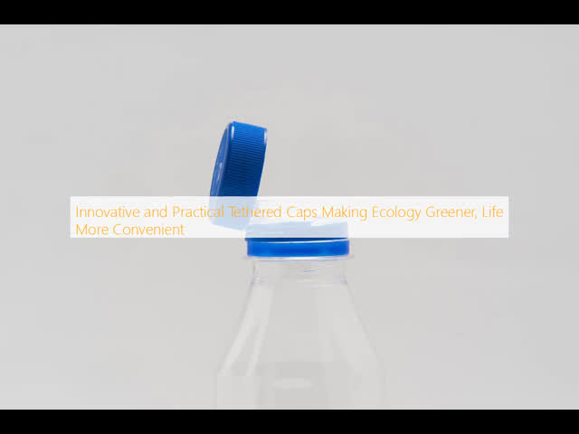 Salad Dressings Condiment Bottle Caps Sauce Lid Liquid Seasonings Cooking Wine