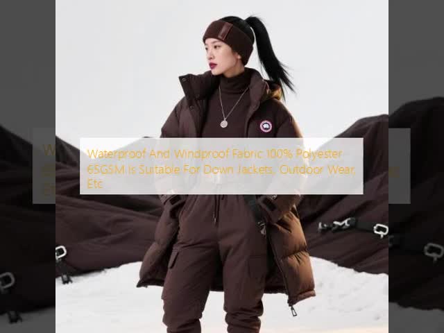 65GSM Down Jacket Fabric Waterproof / Windproof 100 Polyester Fabrics