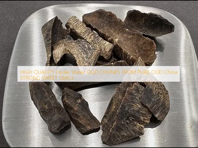 Aromatherapy Agarwood Timber Wood The Ultimate Woody Fragrance Experience