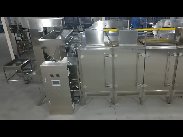 Food Grade Customizable Crispy Peanut Butter Production Line for Nut Processing Plants video