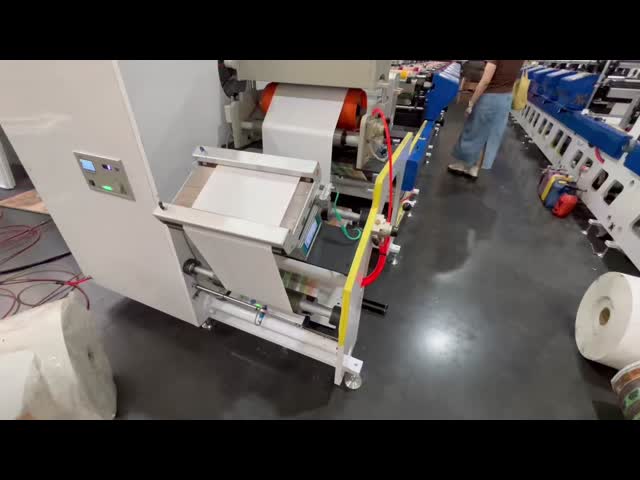 High Speed Automatic 2-12 Color Flexo Roll To Roll Sticker Lable Printing Machine With Die Cutting