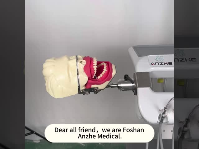 Oral Anesthesia Training Model Realistic Gum Jaw Simulation for Injection Practice Dental Conduction Anesthesia Model