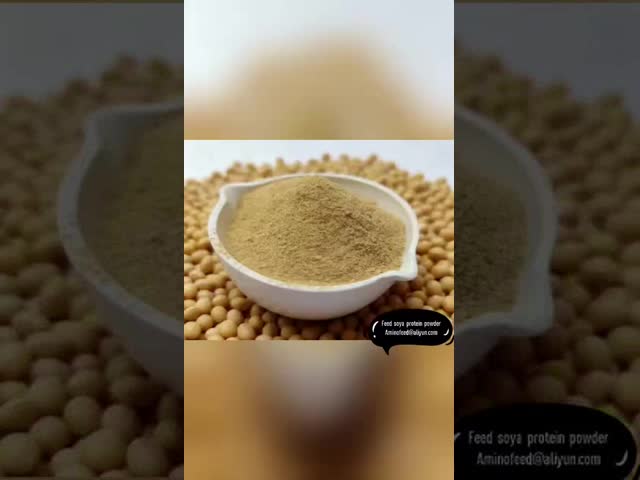 Feed Protein Supplements Hydrolyzed Soy Peptide Protein Powder With Crude Protein 50% Soy Fragrance Factory