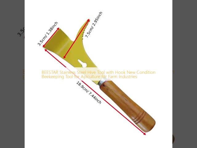 BEESTAR Stainless Steel Beehive Scraper Hive Tools with Wooden Handle for Wholesale and Farming
