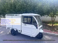 Open-Body Electric Three-Wheeler Factory Direct from Manufacturer for Passenger and Goods Delivery