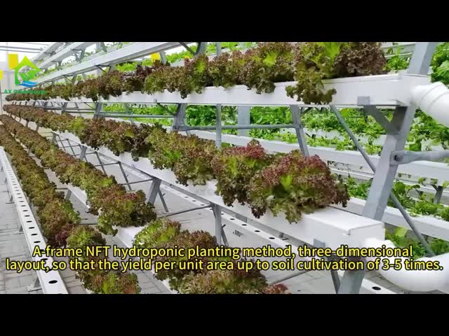 Greenhouse NFT hydroponic syestem soilless cultivation A-Shaped multi-layer PVC nutrient solution vegetable planting