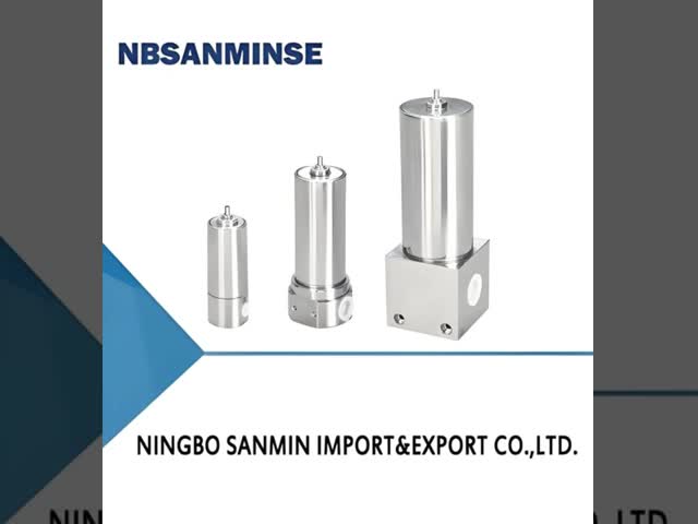 QSLH Series Stainless Steel Filter with 5μm Filtration Precision 40μm Optional and G1/8 to G1 Connection for Compressed Air