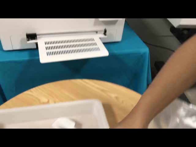 White DTF Hot Melt Powder 1KG Hot Melt Adhesive Powder For Fiber & Garment