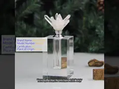 Vintage Crystal Perfume Bottle with Mini Bulb Spray Laser Engraved for Holiday Decoration