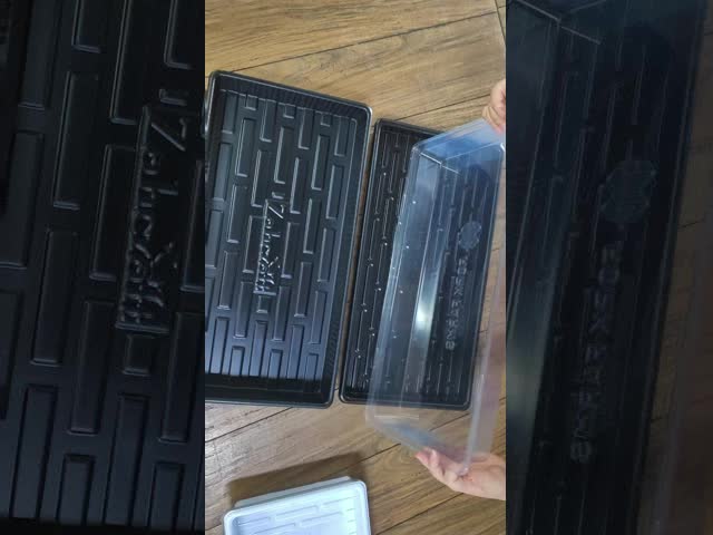 Customized reusable plastic PS black plastic greenhouse hydroponic plant planting seed water storage box