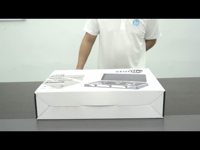 Europe Type Stainless Steel 3 Burner Outdoor Stove Portable With Cover