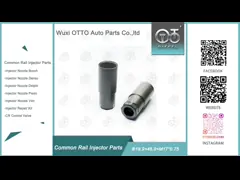 China Nozzle-Valve Kit Nozzle-CVA Kit 7135-573 Delphi Injector Repair Kit For Injectors 28229873 supplier