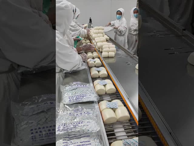 Forming Function for Filling Shrink Wrap Packing Machine Electric Driven Packaging Speed 20-90 Packs/min