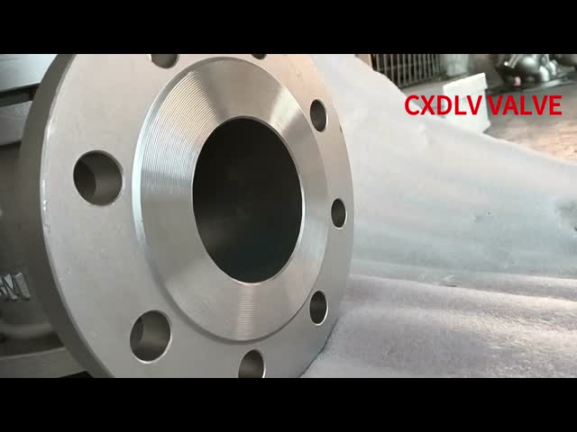 ANSI 300LB Industrial 6 