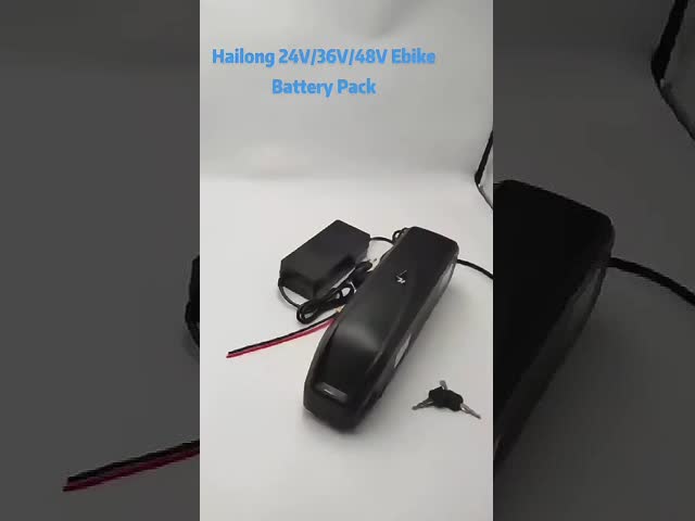 Hailong Electric Bicycle 48v 20.8ah 18650 Battery 2600mah  For V8 Electric Bicycle