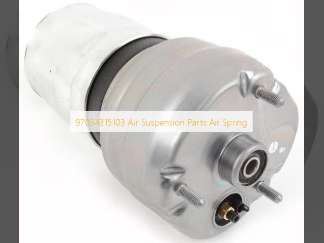 97034315103 Air Suspension Parts Air Spring