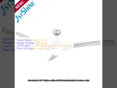 60±5W Silver Color 52