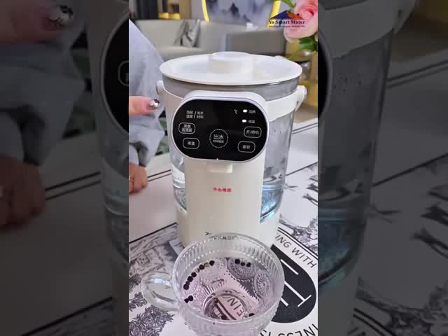 3L Capacity Thermostatic Electric Kettle 800W 12 Gear Water Temperature Adjustment