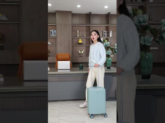 24-inch Sturdy and Durable Leather Suitcase with Spinner Wheels and Zippers for Women, Men, and Students (20-inch size)