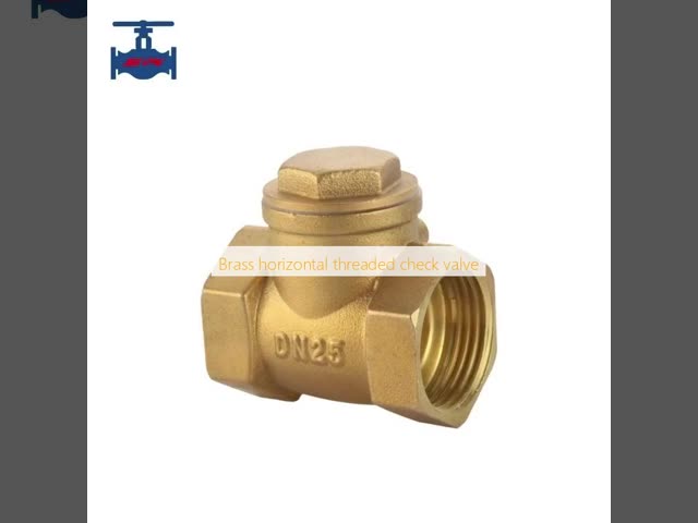 Brass Horizontal Threaded Check Valve ISO9001 ISO14001 Certified with 18 Months Warranty