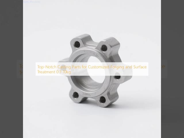 Top-Notch Casting Parts for Customized Forging and Surface Treatment 0.1-10kg