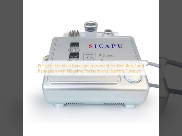 Portable Meridian Massage Machine For Pain Relief Meridian Physiotherapy Instrument
