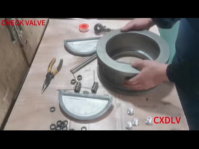 150LB Super Duplex 2507 Wafer Dual Plate Check Valve Sea Water Duo Check Valve