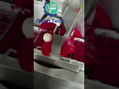 Machine à enrober le chocolat électrique 60KG 220V 3.1kw video