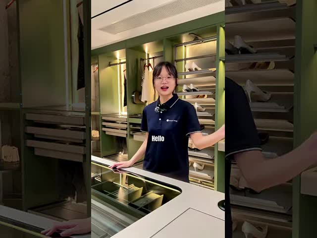 Smart Closet Jewelry Box Electric Lift Down Wardrobe Accessory