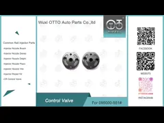 Model 29# Diesel Control Valve for Injector #095000-500#/551#/4135/4152/4157/6650/5504 Made of High Speed Steel video