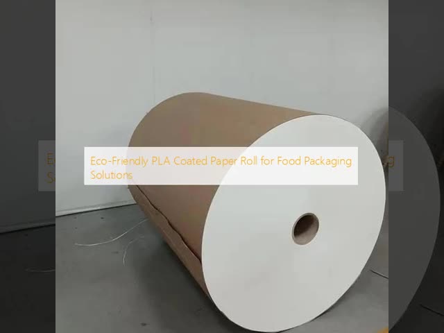 Eco-Friendly PLA Coated Paper Roll for Food Packaging Solutions