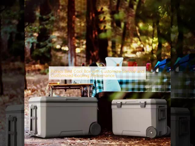 PU Insulated Camping Cooler Box 48h Cold Storage 940x550x495mm