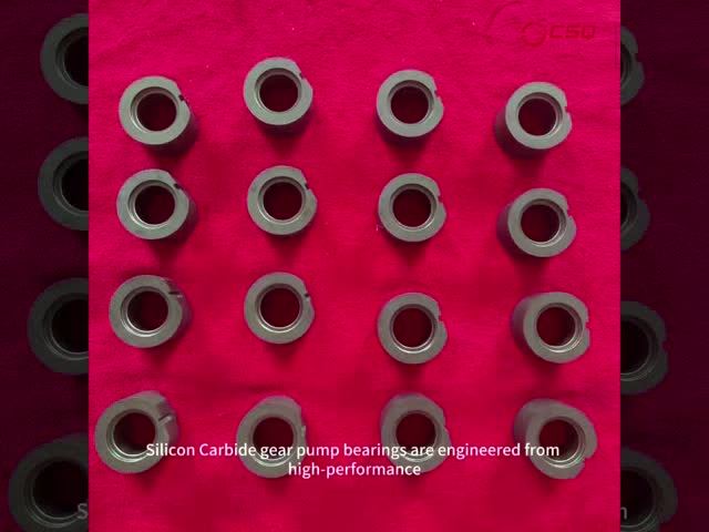 Custom Silicon Carbide Gear Pump Bearing