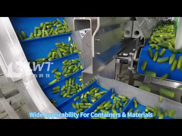 LWT Automatic Vibration Filling Machine for Cucumber Fruit Canned Food in Glass Jar Tin Can